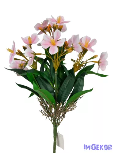 Klívia nyílt csokor 34 cm - Rózsaszín