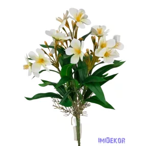 Klívia nyílt csokor 34 cm - Fehér