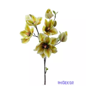 Magnólia ág 90cm - Zöld