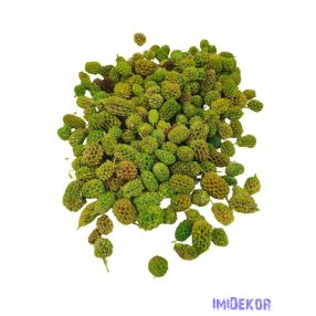 Casurina 11,5dkg/csomag - Zöld