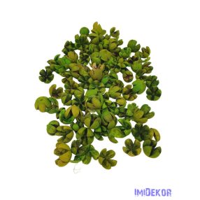 Chiruni 10dkg/csomag - Zöld