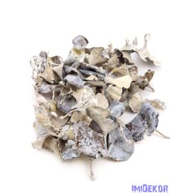 Gomba 5dkg/csomag - Hamvas