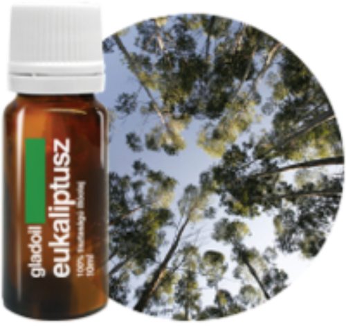 Eukaliptusz illóolaj Gladoil / Fleurita 100% tisztaságú hígítatlan illó olaj 10 ml