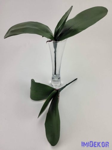 Orchidea 3 ágú levél gyökérrel 25 cm