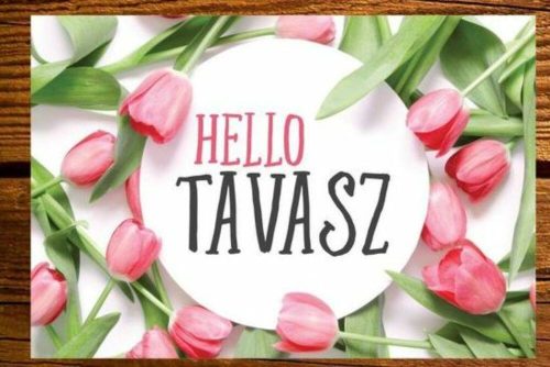 " Hello Tavasz " tulipános lézervágott fa táblácska 2 méretben