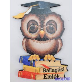 Szemüveges kalapos bagoly könyveken tábla - Feliratos