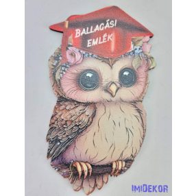 Bagoly ballagó sapis táblácska - Feliratos