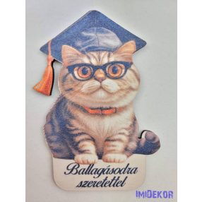 Ballagó figura 25 - Cica 1