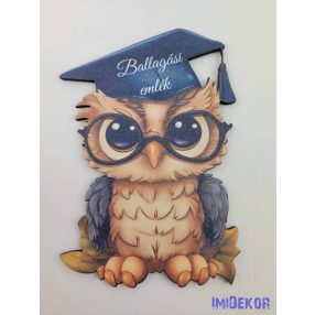 Ballagó szemüveges bagoly