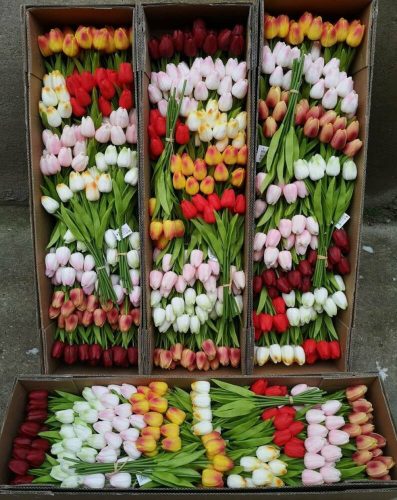 Gumi tulipán 10 szálas élethű kötegelt művirág csokor 33 cm