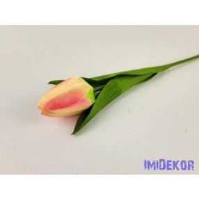 Tulipán szálas szatén 57 cm - Krém-Rózsaszín