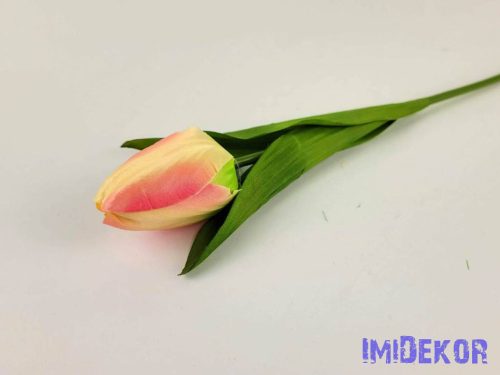 Tulipán szálas szatén 57 cm - Krém-Rózsaszín