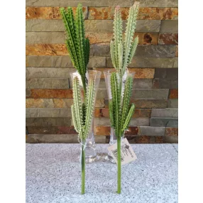 Kaktusz gumis élethű pozsgás 21 cm - 2 színben