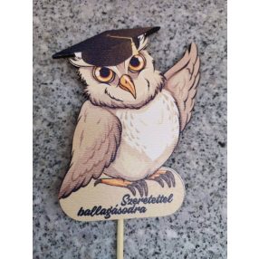 Lézervágott fa termékek - figurák, betűzők, táblák, korongok, feliratok